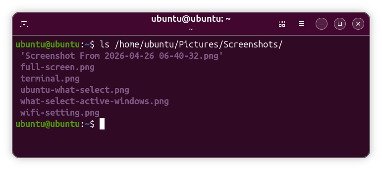 ターミナルで Pictures/Screenshots ディレクトリを確認